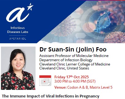 The Immune Impact of Viral Infections in Pregnancy
