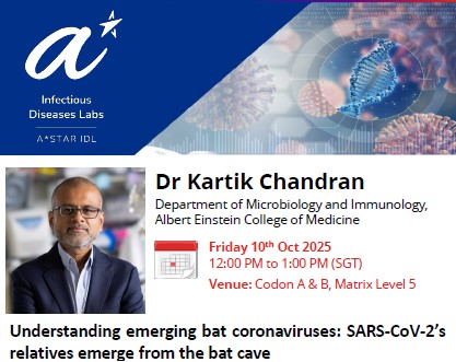 Understanding emerging bat coronaviruses SARS-CoV-2’s relatives emerge from the bat cave