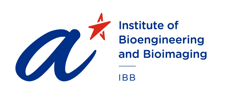 IBB Logo