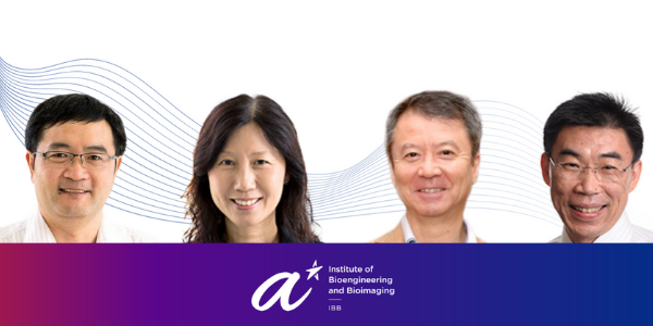 Photo of IBB Researchers
