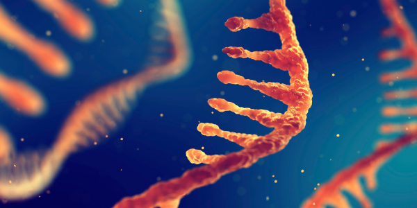 Photo of mRNA