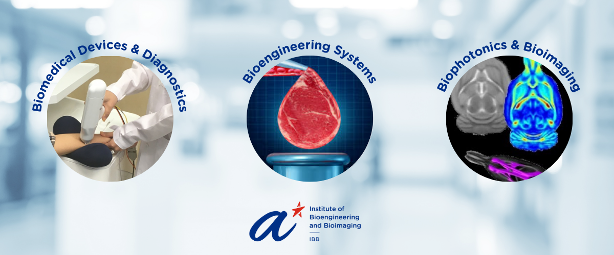 Institute of Bioengineering and Bioimaging Research Areas 