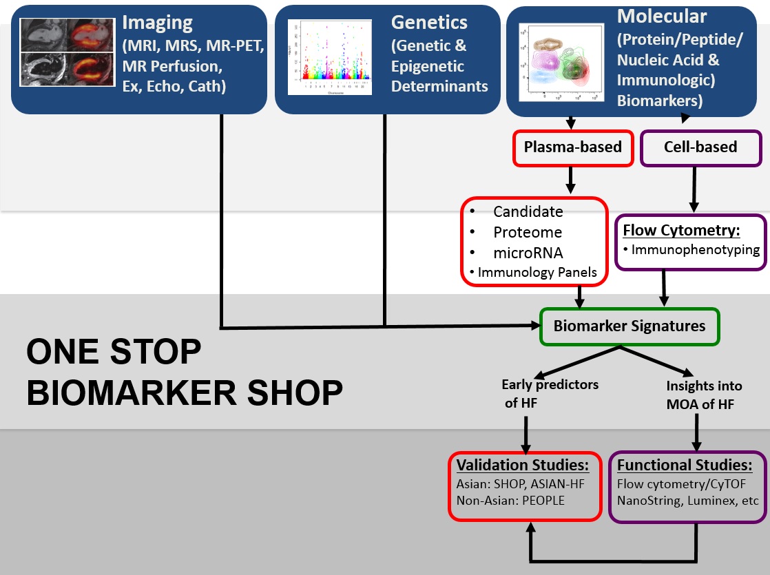 biomarker