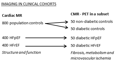 imaginginclinicalcohorts2