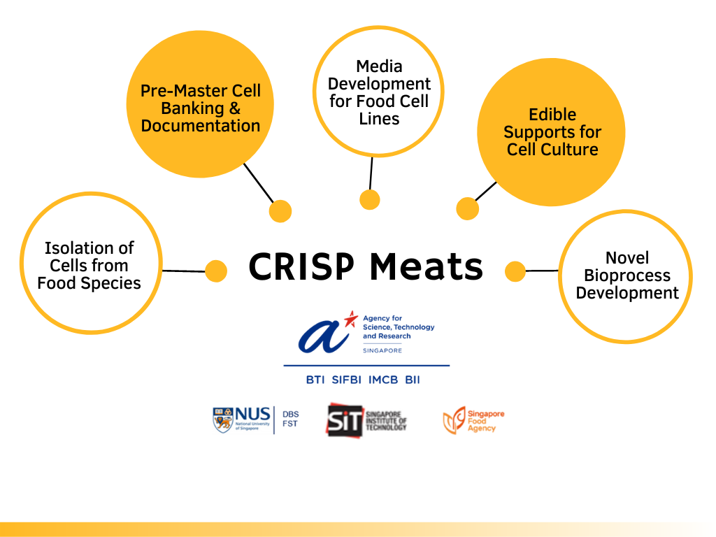 CRISP Meats Summary