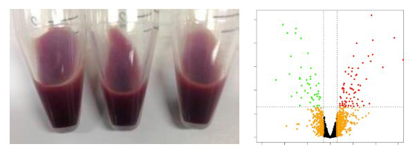 Stem Cell Reports 16(1) 182-197 Fig 2