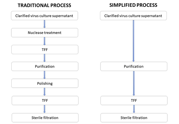 tangential flow filtration for virus purification