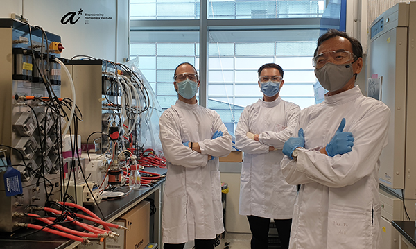 Svetlan Vassilev, Lim Zhong Ri and Steve Oh