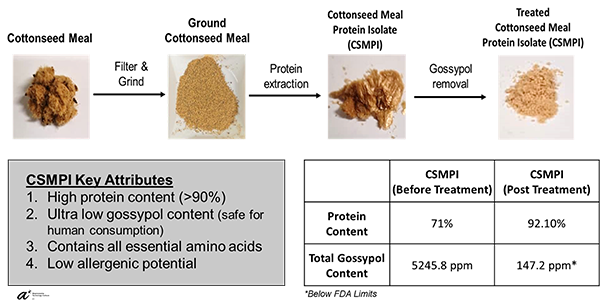 2022_10 nt. J. Mol. Sci. 2022, 23, 10105 Fig 2