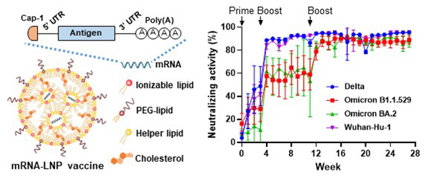 Fig 1_npj Vaccines paper