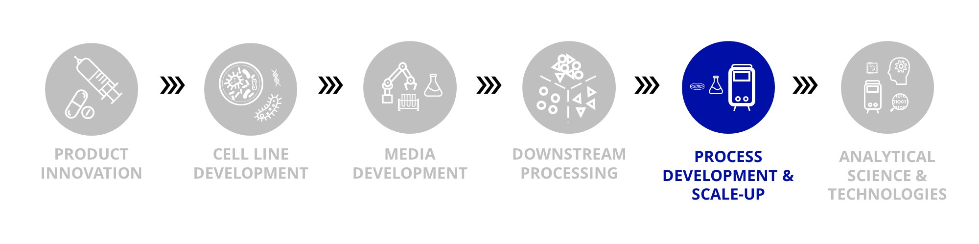 6B - PROCESS DEVELOPMENT and SCALE-UP