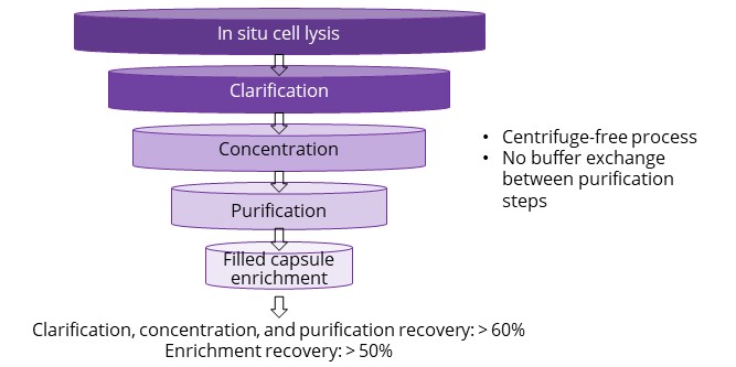 AAV purification platform