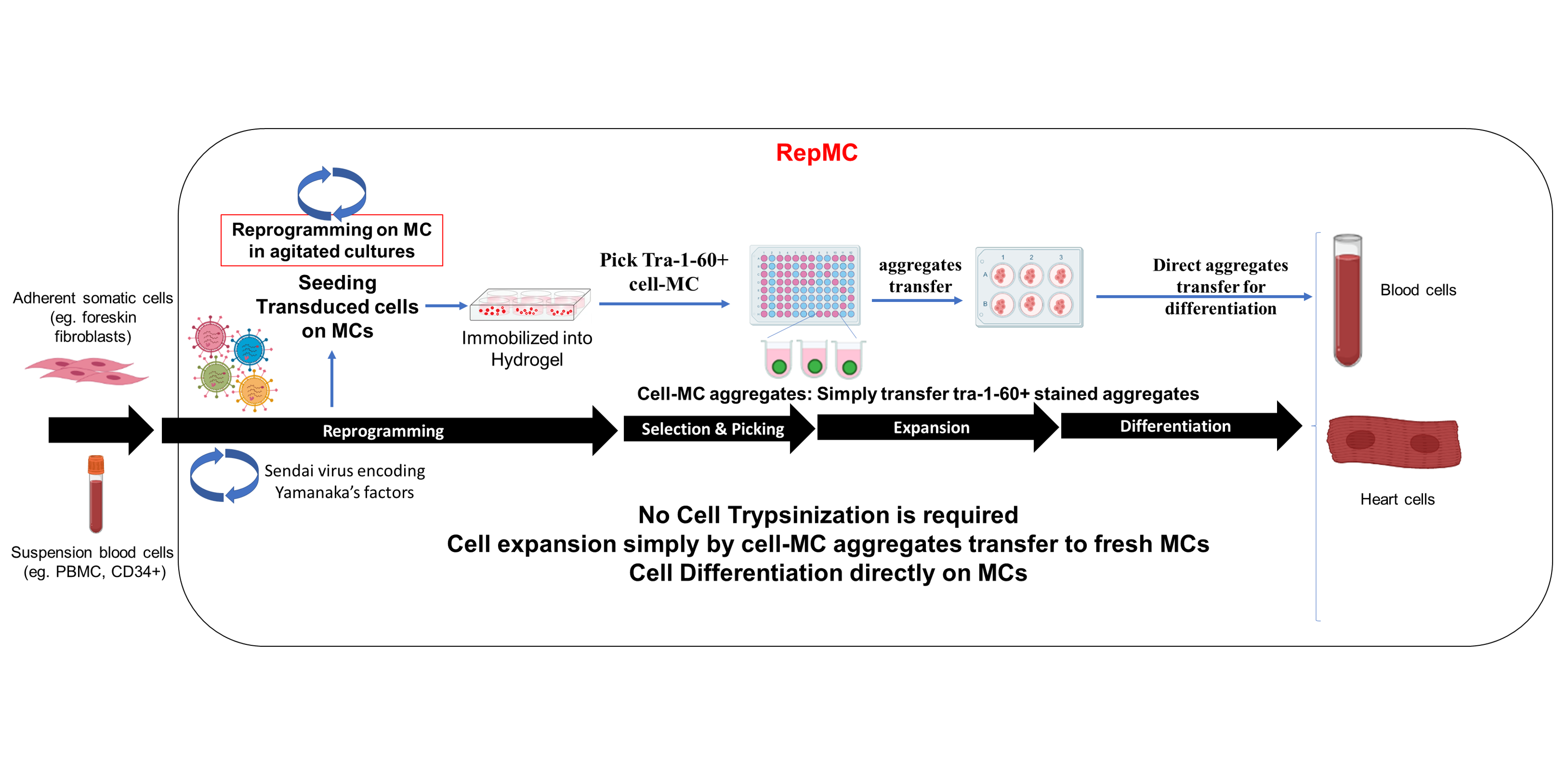 All-In-One Platform for Reprogramming on Microcarriers (RepMC)