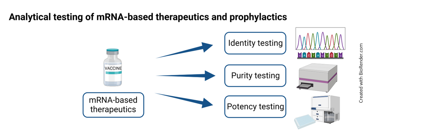 Analytical testing of mRNA-based therapeutics and prophylactics