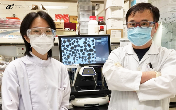 Authors Cell Proliferation 19 May 2022 Authors Cell Proliferation 19 May 2022