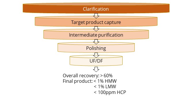 Bispecific antibody purification platform