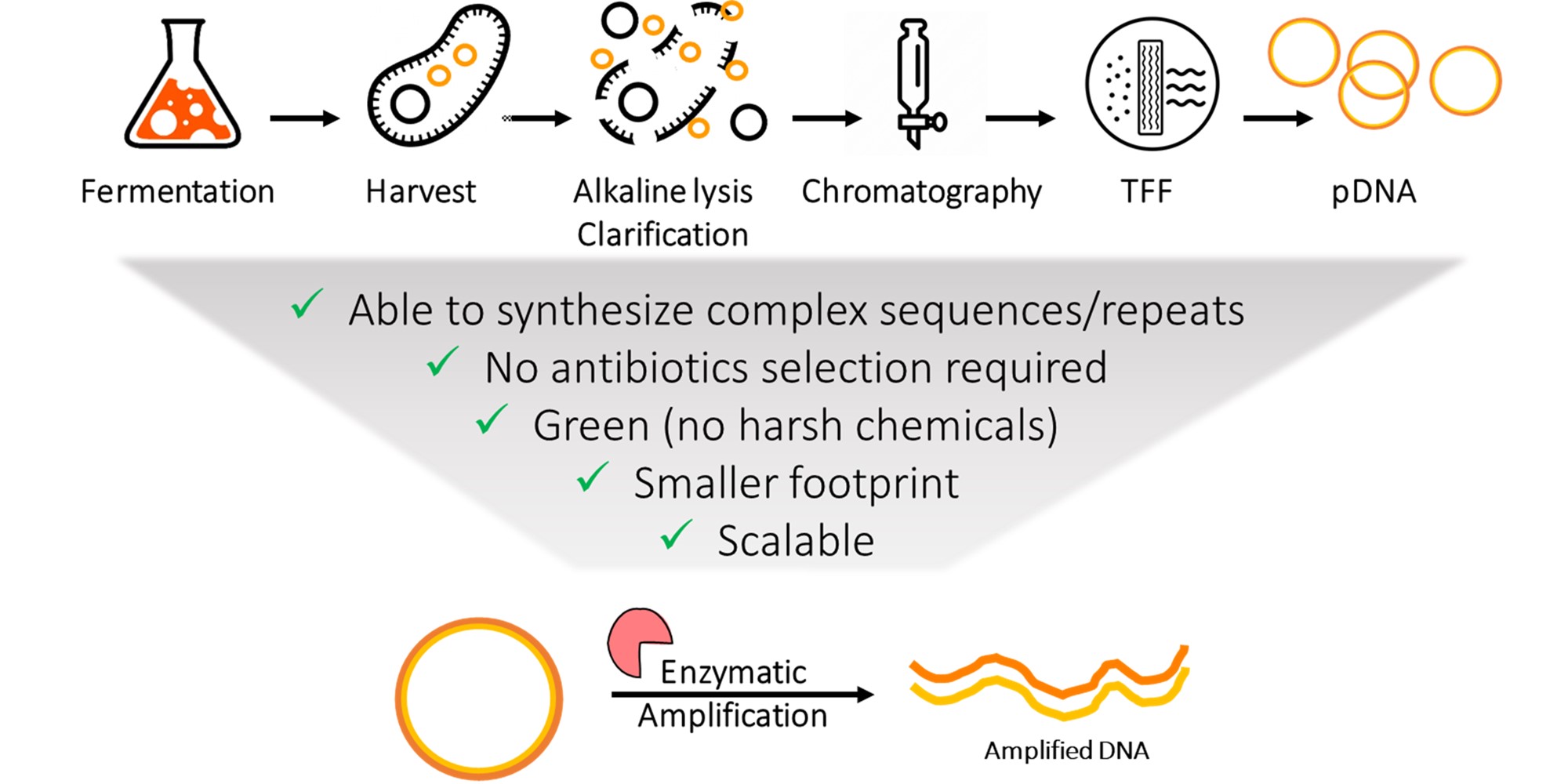 Cell Free Nucleic Acid Synthesis