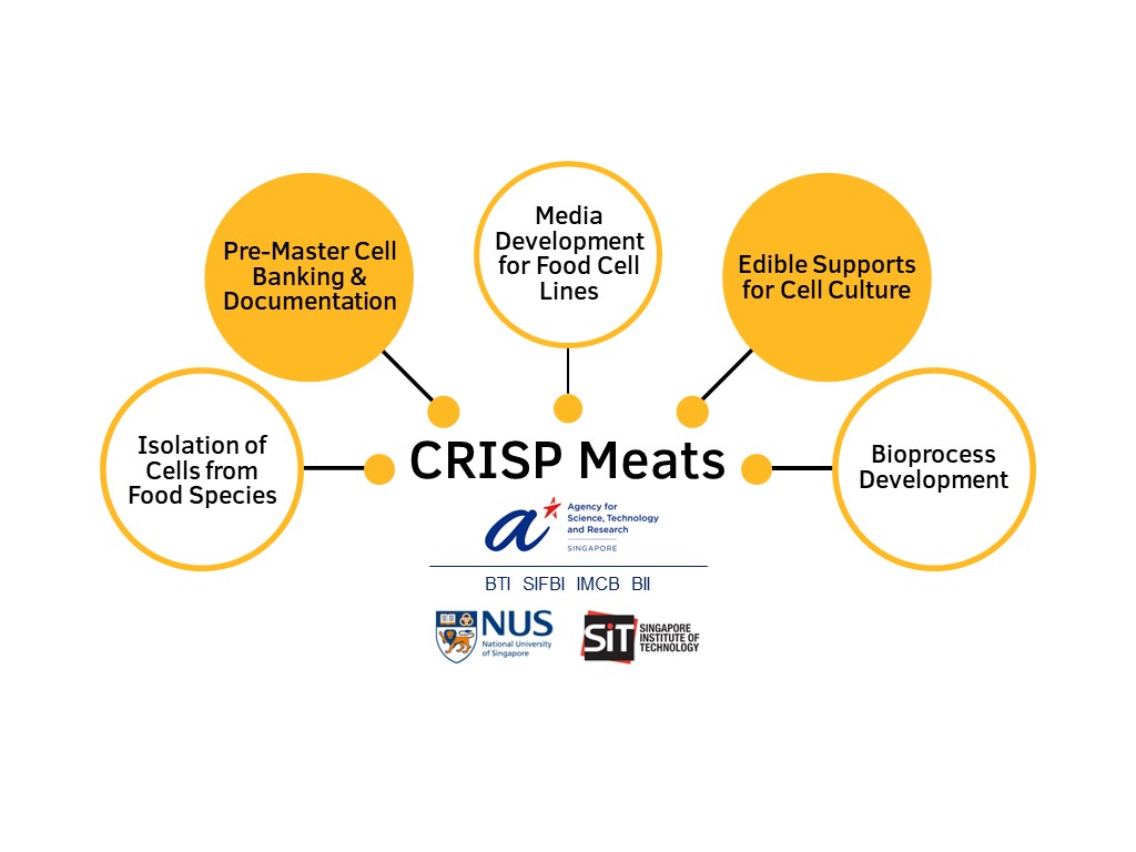 CRISP Schematic 2024