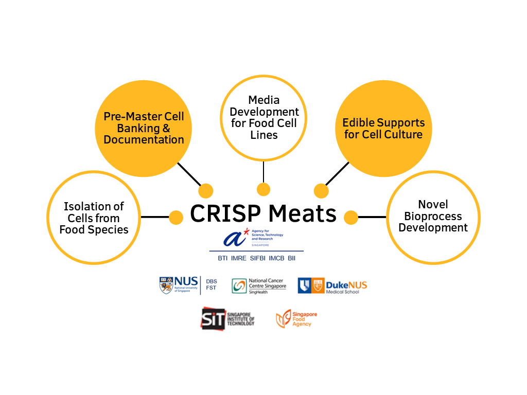 CRISP Schematic ppt Updated Mar 2023