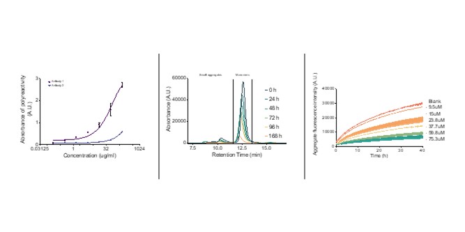 EXPERIMENTAL CHARACTERIZATION