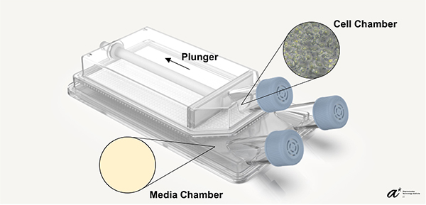 Fig 1 Sci Rep 12, 7045