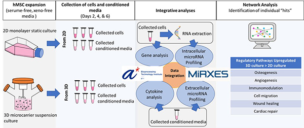 Fig 1 Stem cell research. 53(2021) p. 102272