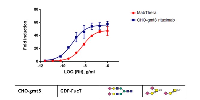 GLYCOENGINEERING FOR PRODUCTION OF ANTIBODY AND RECOMBINANT PROTEIN THERAPEUTICS WITH HOMOGENOUS N-GLYCANS