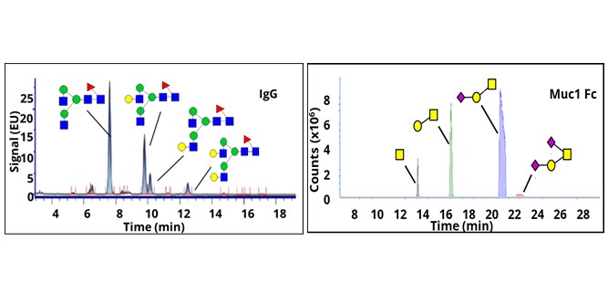 GLYCOMICS