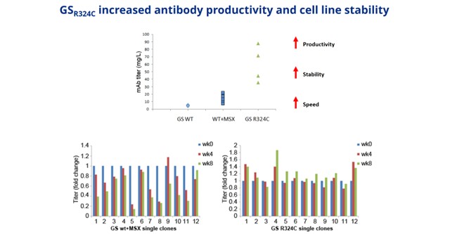 GS-CHO system for biologics production