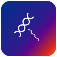 Nucleic Acid