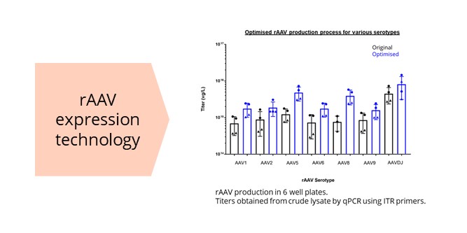 rAAV expression technology