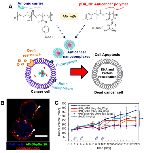 Research Highlight - Yi Yan - Anticancer Nanocomplexes Fig 1
