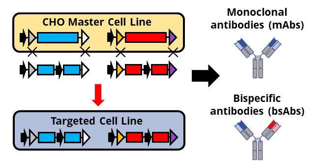 “Swap and switch” targeted integration technology