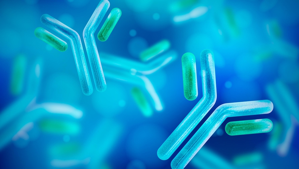 Antibodies 2 (resized)