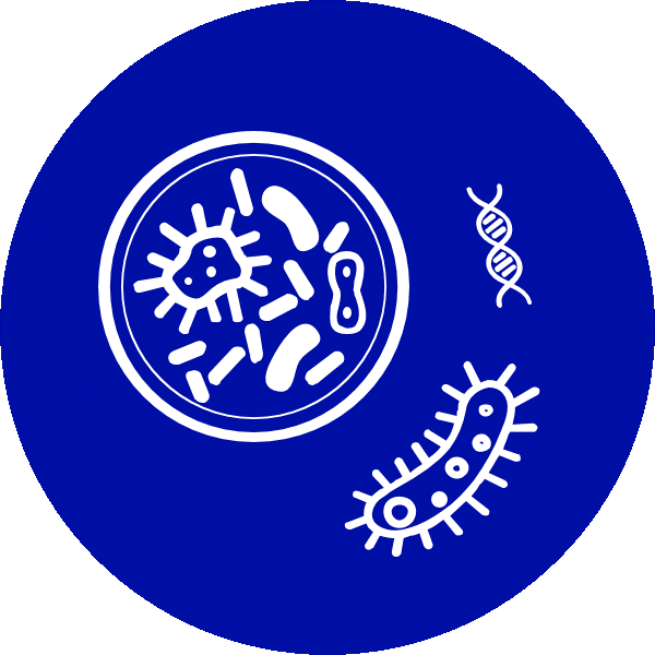 cell line development icon