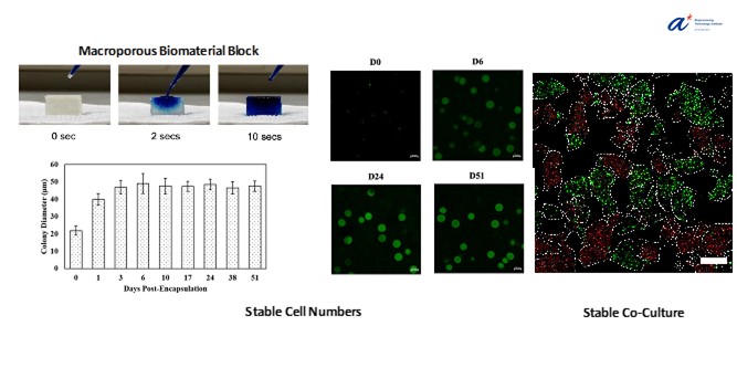2025_08 Fig 1 Jingyi, Cyrus - Microbial Cell Factories