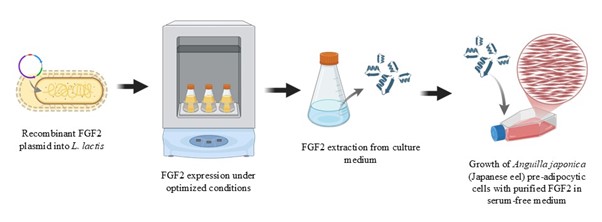 2026_01 Fig 1 Pooi Leng, Dave Frontiers