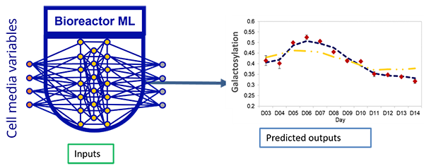 Fig1_Computational and Structural Biotechnology Journal_Ian