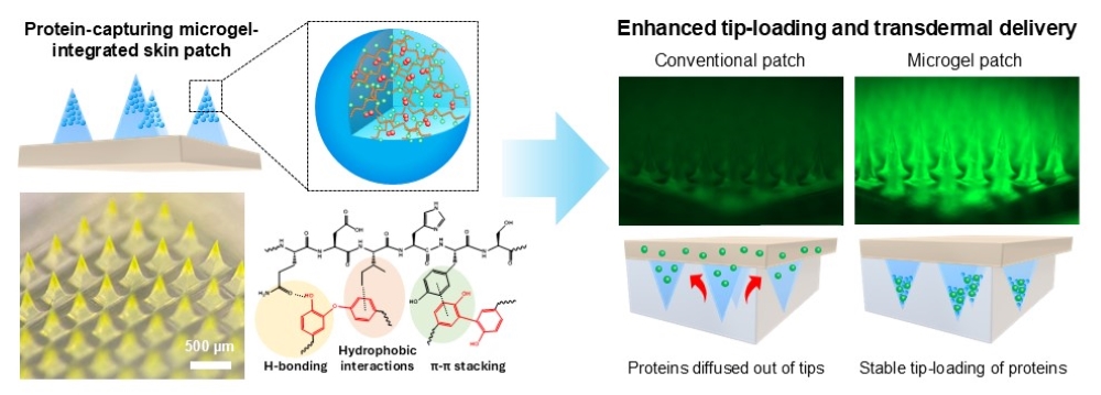 2026_02 Ki Hyun_Fig 1_Small