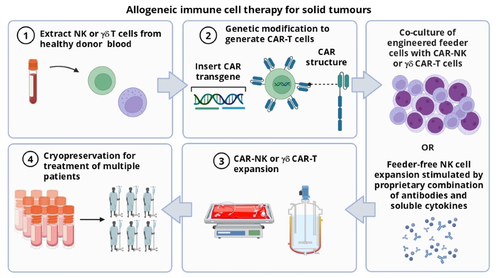 Allogeneic - ICM_resized