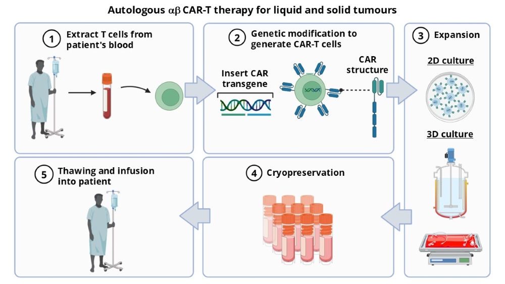 Autologous - ICM_resized