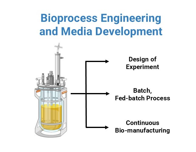 Bioprocess Engineering (resized)
