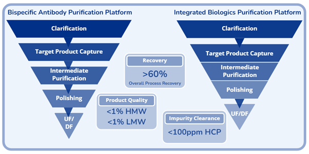 Bispecific Antibody Purification Platform