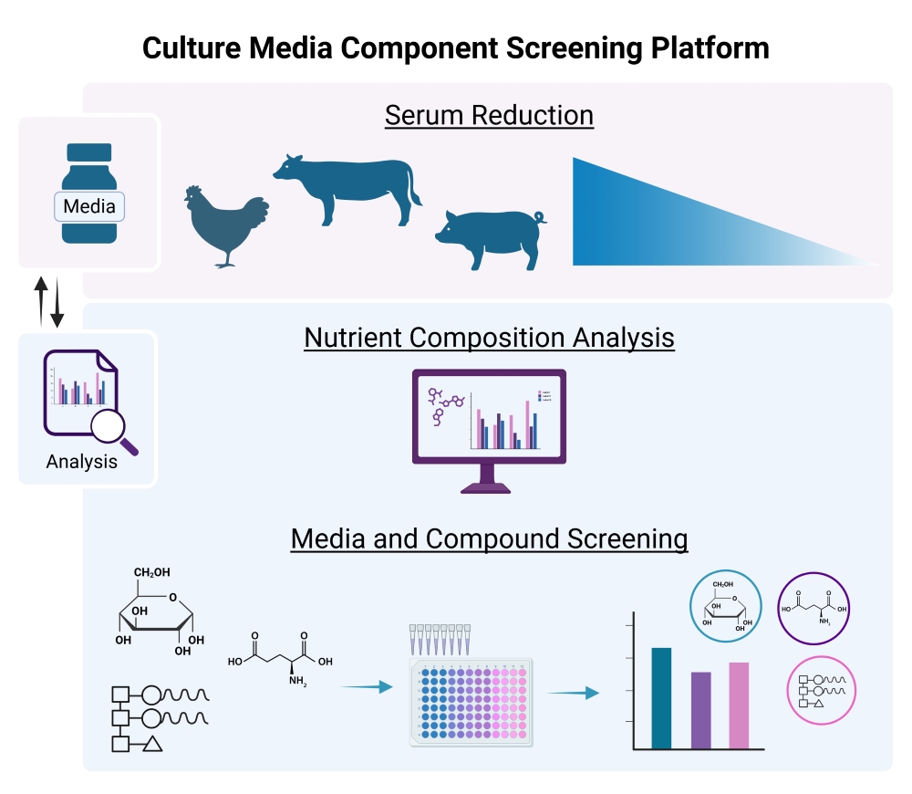 Culture Media Development (resized)