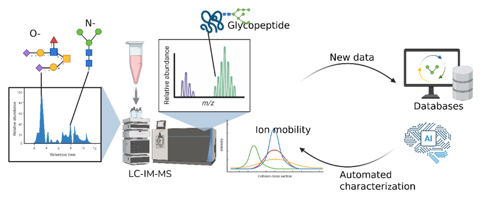 Glycan Platform (resized)