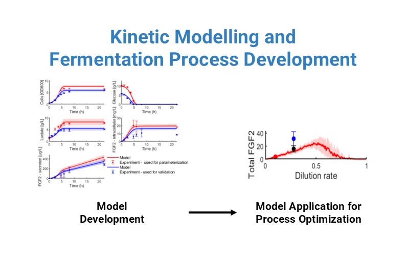 Kinetic Modelling (resized)