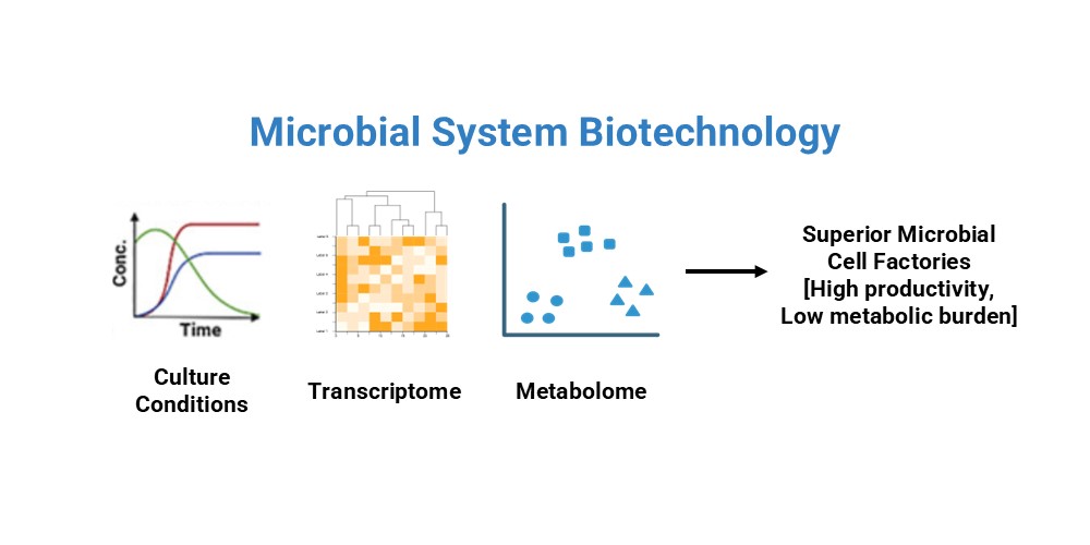 Microbial System Biotechnology