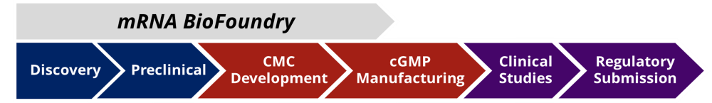 Our Role in Ecosystem_resized