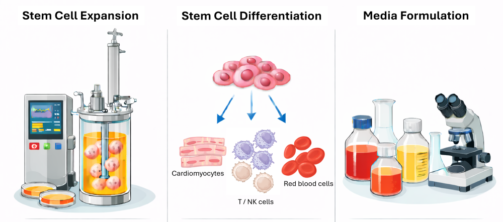 SCB Capabilities (resized)