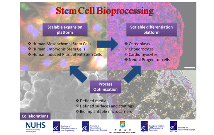 stem_cell2_pic